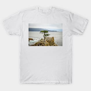 Lone Cypress T-Shirt